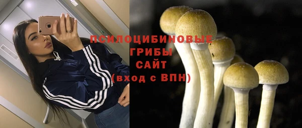 гидра Лабытнанги