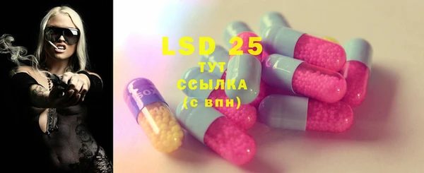 дживик Лагань