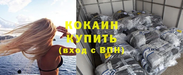 дживик Лагань