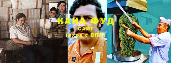 дживик Лагань